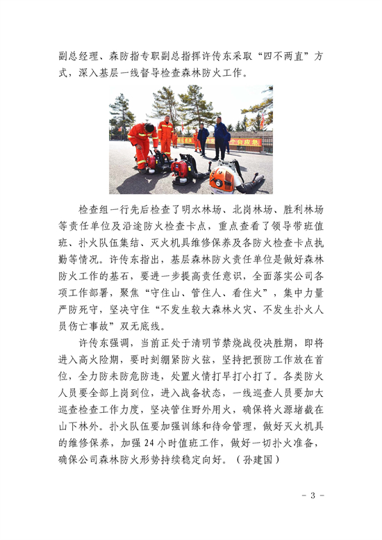 13_页面_3.jpg