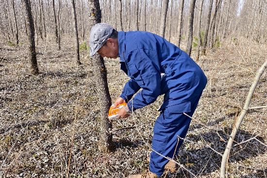 泉林公司圆满完成春季鼠害防治工作（2）.jpg