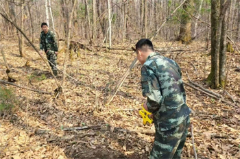 厚植生态底色  绘就绿色画卷 泉林公司圆满完成2025年春季营造林任务（4）.jpg