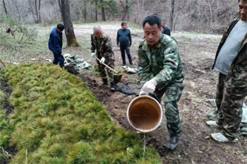 厚植生态底色  绘就绿色画卷 泉林公司圆满完成2025年春季营造林任务（5）.jpg