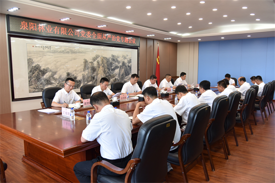 1760062111645463.jpg 泉林公司党委召开2025年全面从严治党专题会议(2).jpg