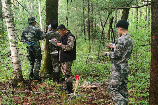 1761807363687550.jpg 攻坚克难践初心 数据赋能护林海 泉林公司圆满完成森林可持续经营试点成效监测调查复测任务(2).jpg