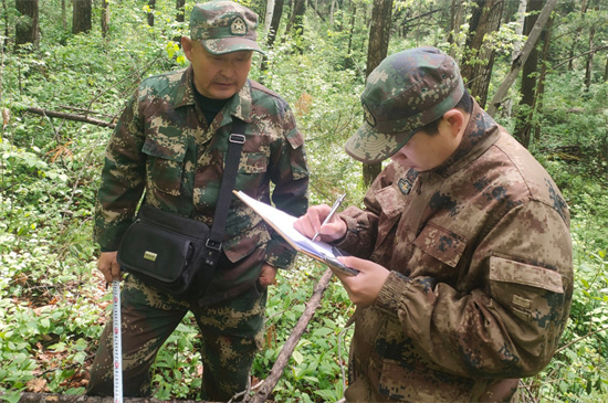 1761807369357240.jpg 攻坚克难践初心 数据赋能护林海 泉林公司圆满完成森林可持续经营试点成效监测调查复测任务(3).jpg