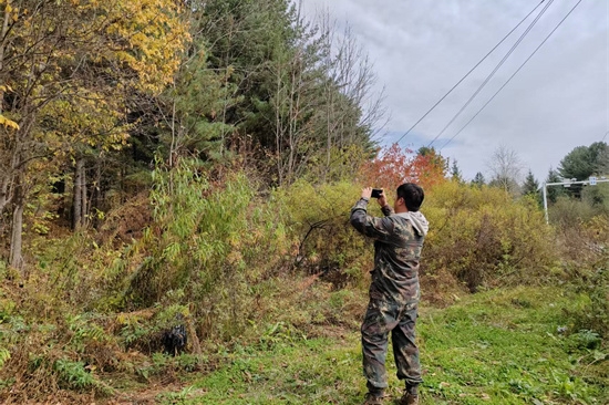 1761808171616608.jpg 泉林公司扎实开展松材线虫病秋季普查工作(1).jpg