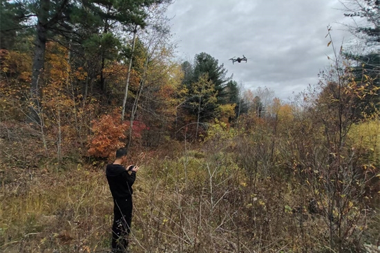 1761808182835111.jpg 泉林公司扎实开展松材线虫病秋季普查工作(3).jpg