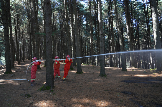 1761809388713480.jpg 兴参林场开展实战化森林灭火演练(2).jpg