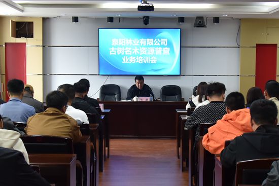 1779412585976071.jpg 2_副本.jpg